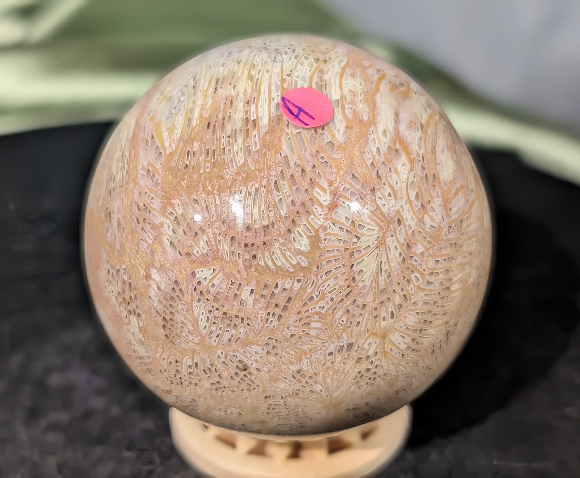 Pink Fossil Jasper Sphere