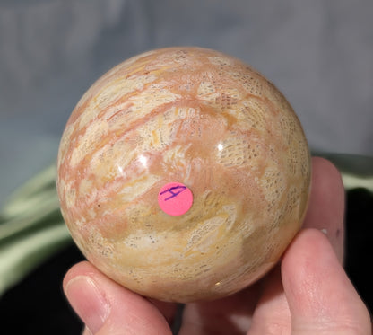Pink Fossil Jasper Sphere