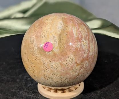 Pink Fossil Jasper Sphere