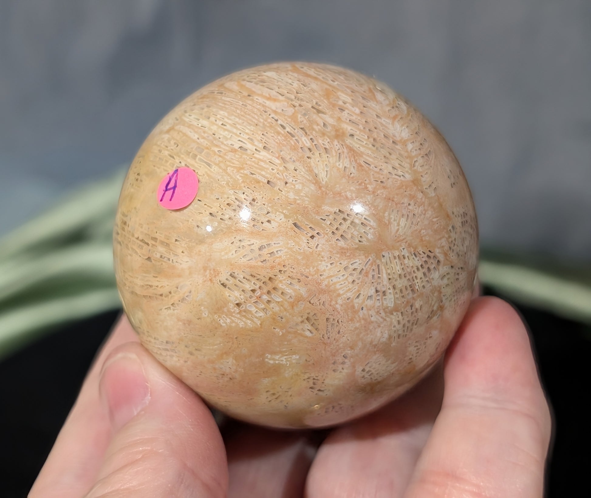 Pink Fossil Jasper Sphere