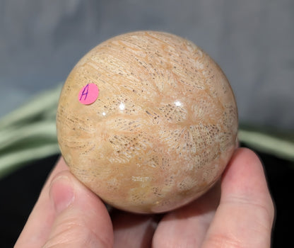 Pink Fossil Jasper Sphere