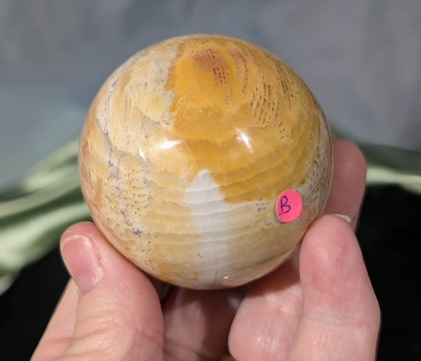 Pink Fossil Jasper Sphere