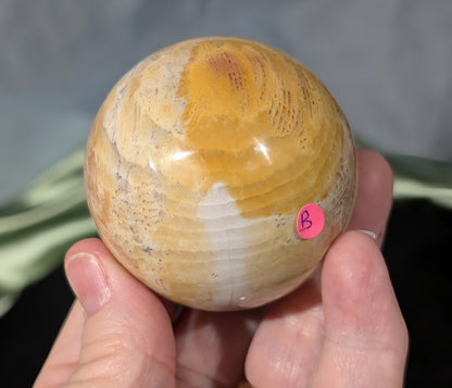 Pink Fossil Jasper Sphere