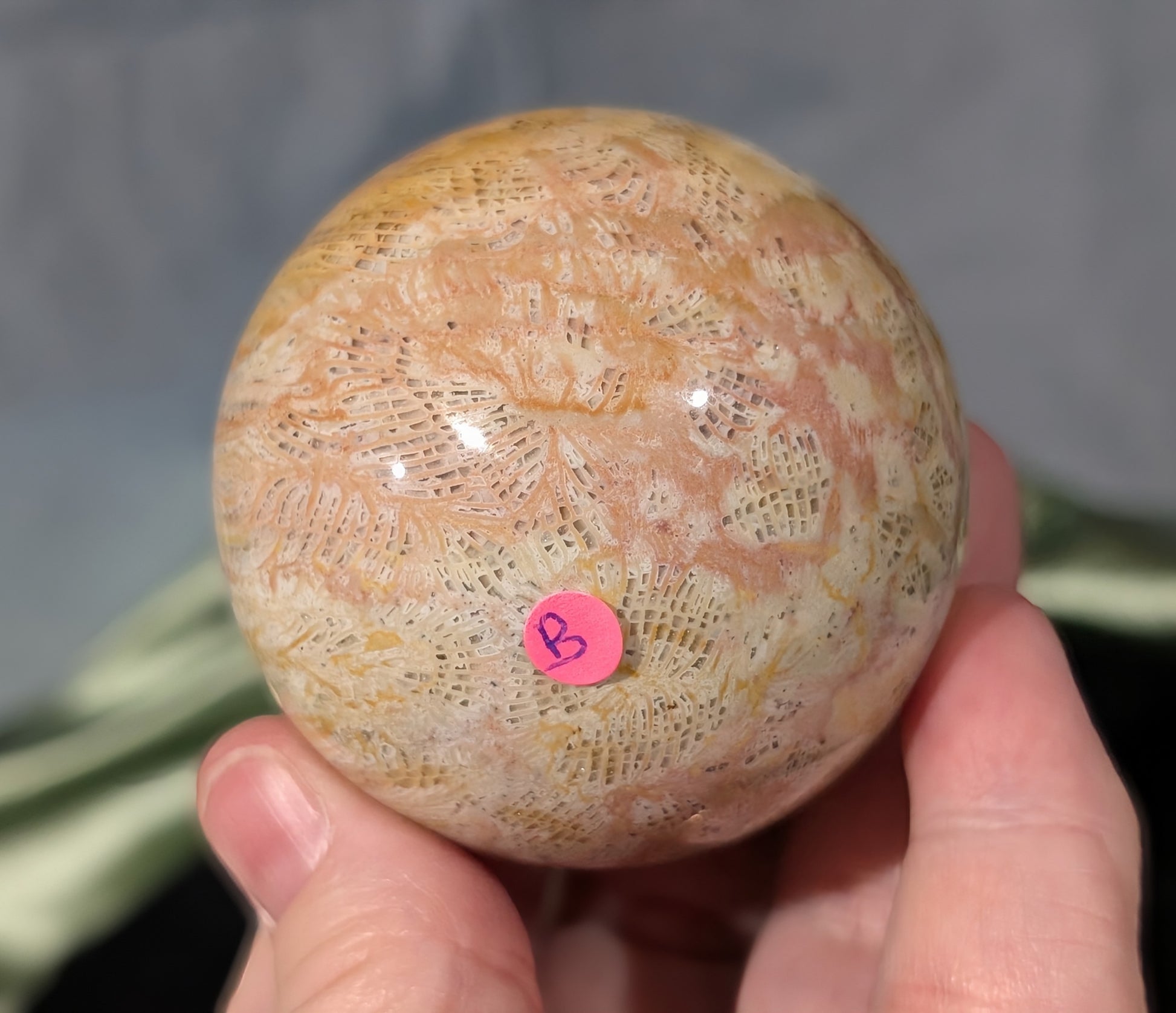 Pink Fossil Jasper Sphere
