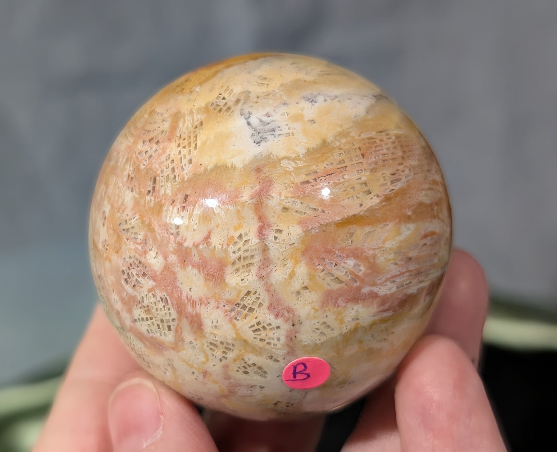 Pink Fossil Jasper Sphere