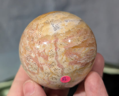 Pink Fossil Jasper Sphere