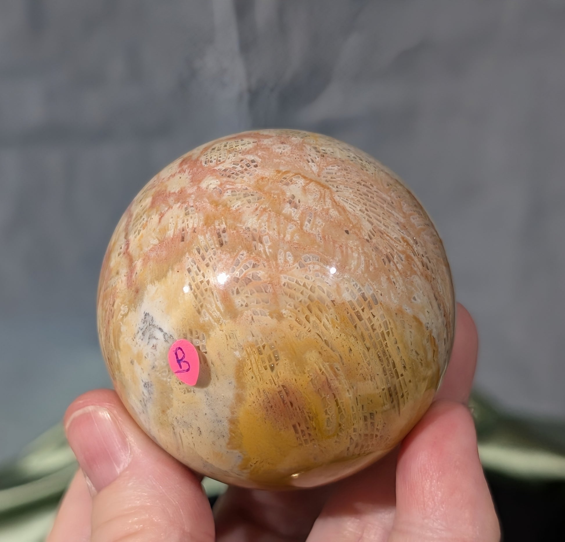 Pink Fossil Jasper Sphere