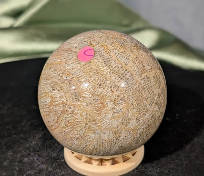 Pink Fossil Jasper Sphere