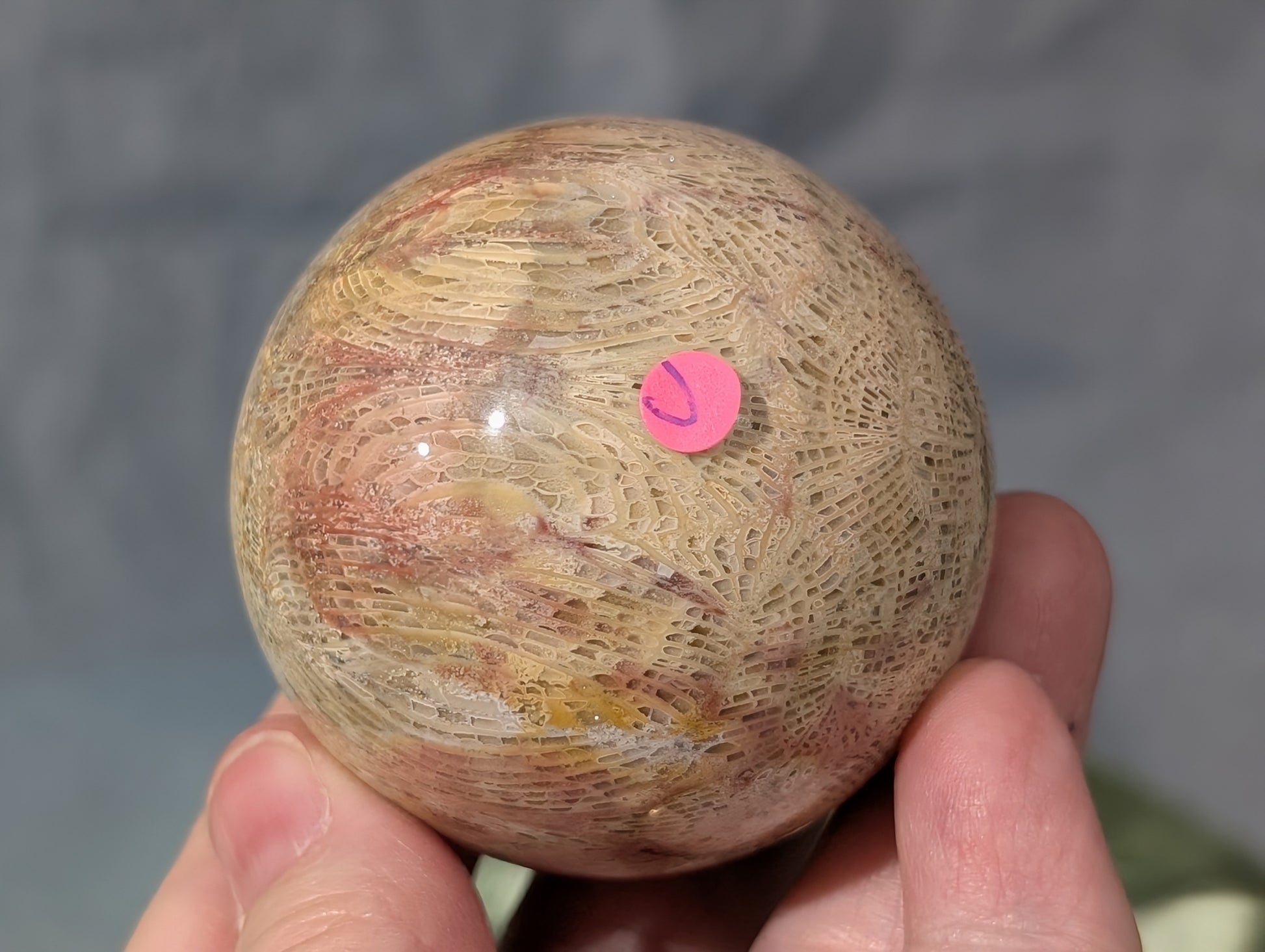 Pink Fossil Jasper Sphere