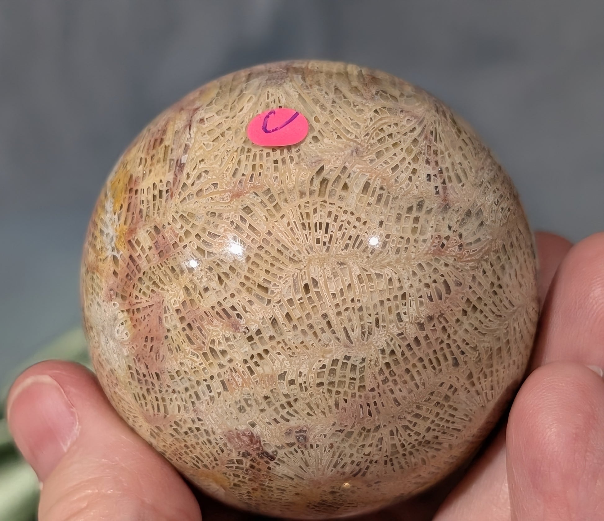 Pink Fossil Jasper Sphere