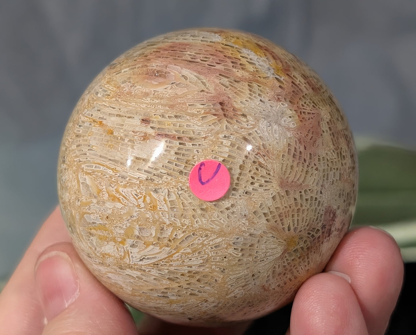 Pink Fossil Jasper Sphere