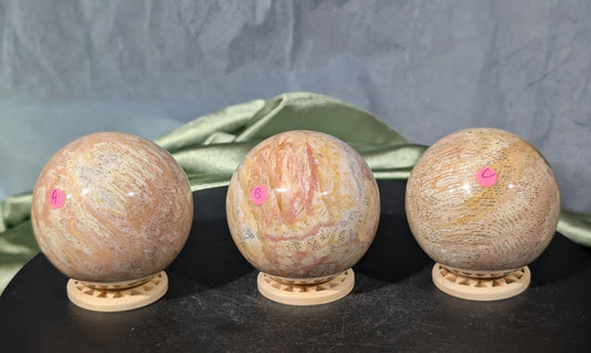 Pink Fossil Jasper Spheres