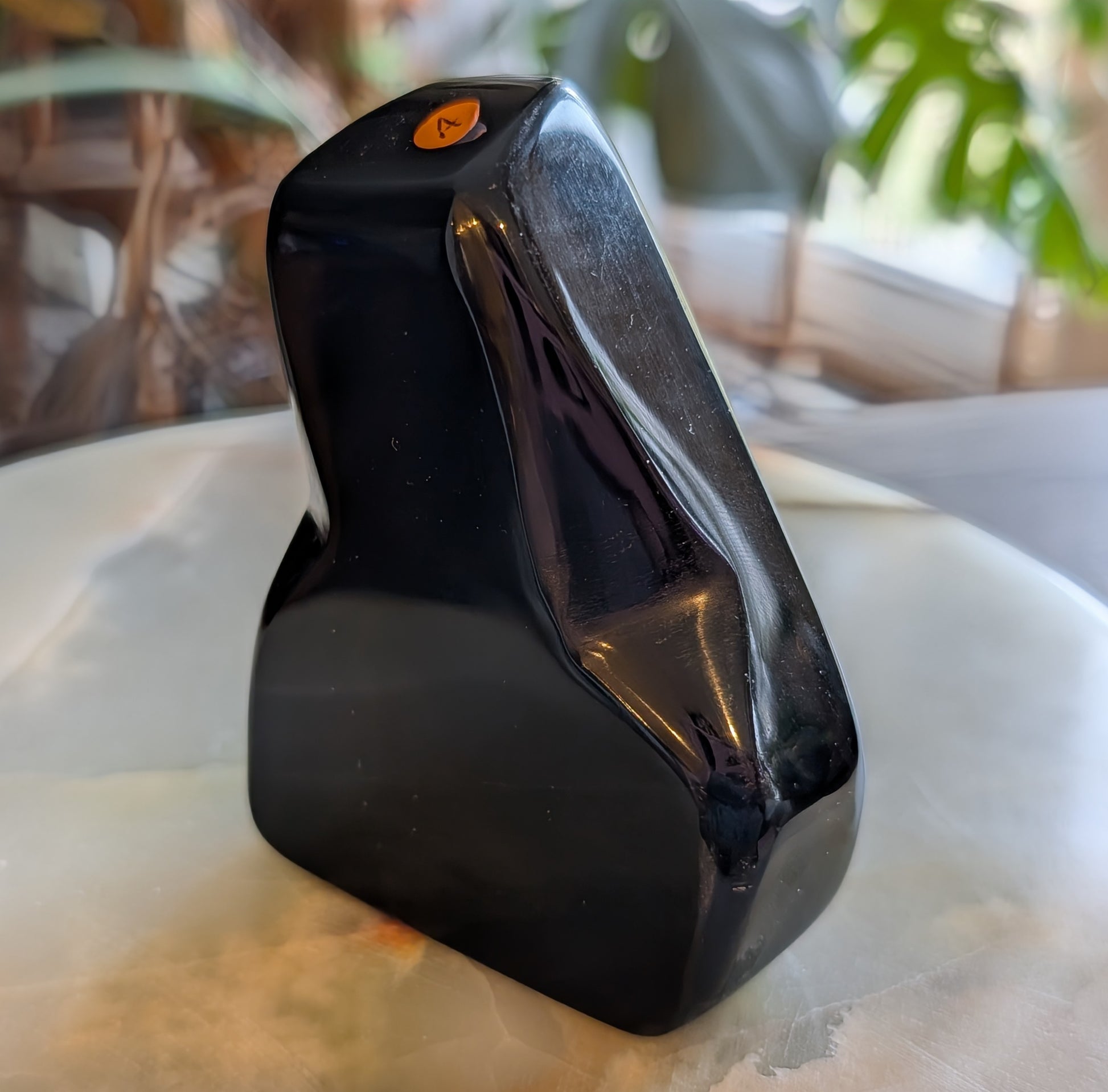Polished Natural Obsidian Freeform