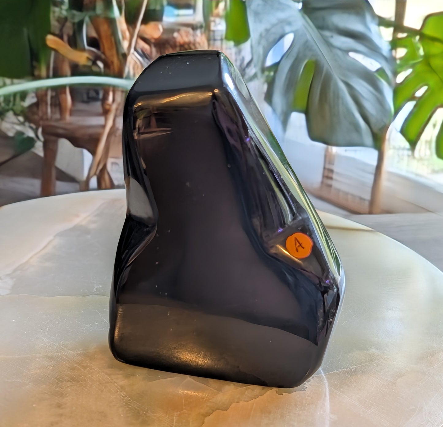 Polished Natural Obsidian Freeform