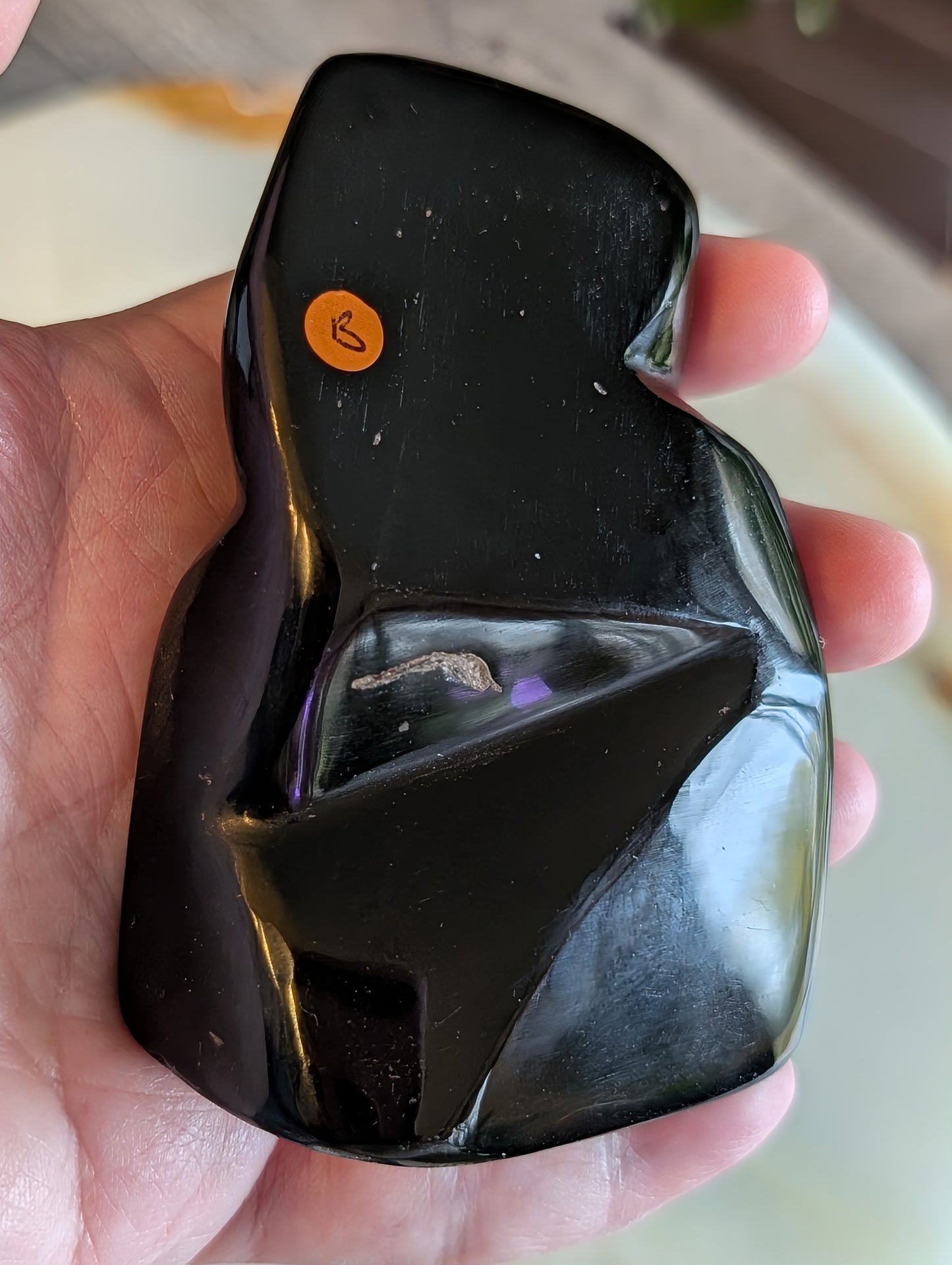 Polished Natural Obsidian Freeform