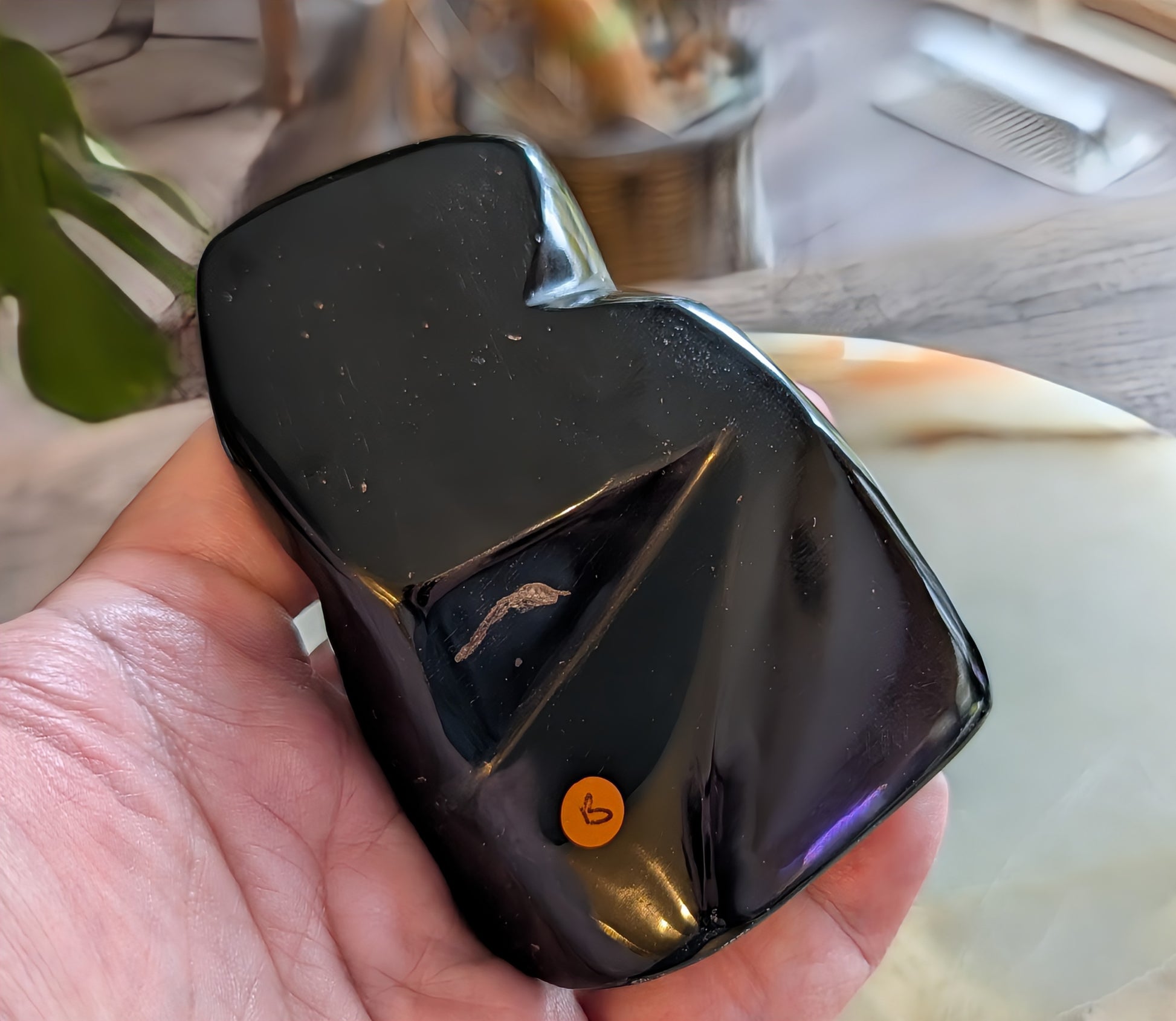 Polished Natural Obsidian Freeform