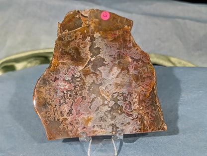 Polished Pink Moss Agate Slab