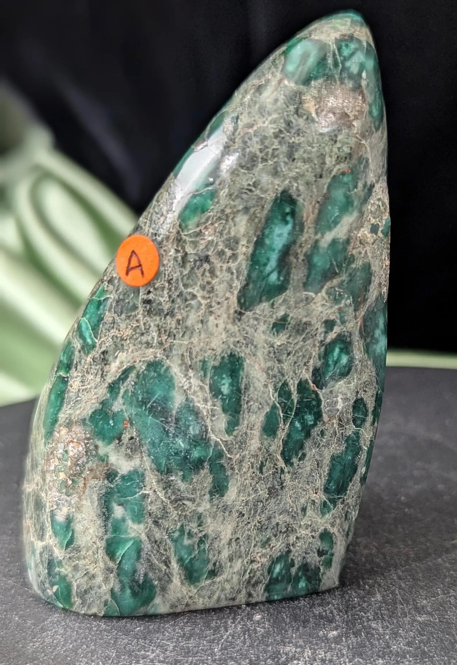 Polished Verdite Freeform