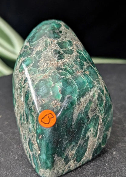 Polished Verdite Freeform