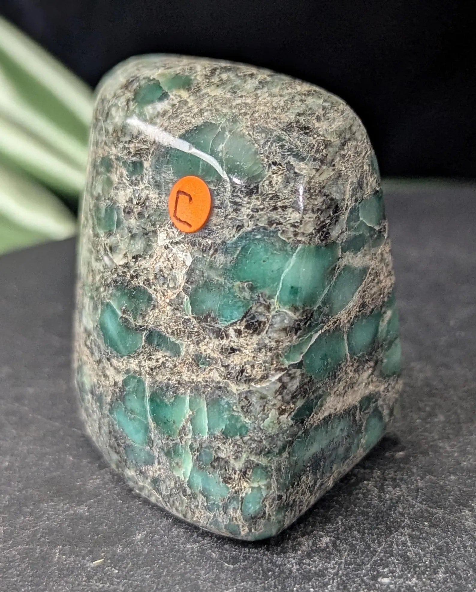 Polished Verdite Freeform