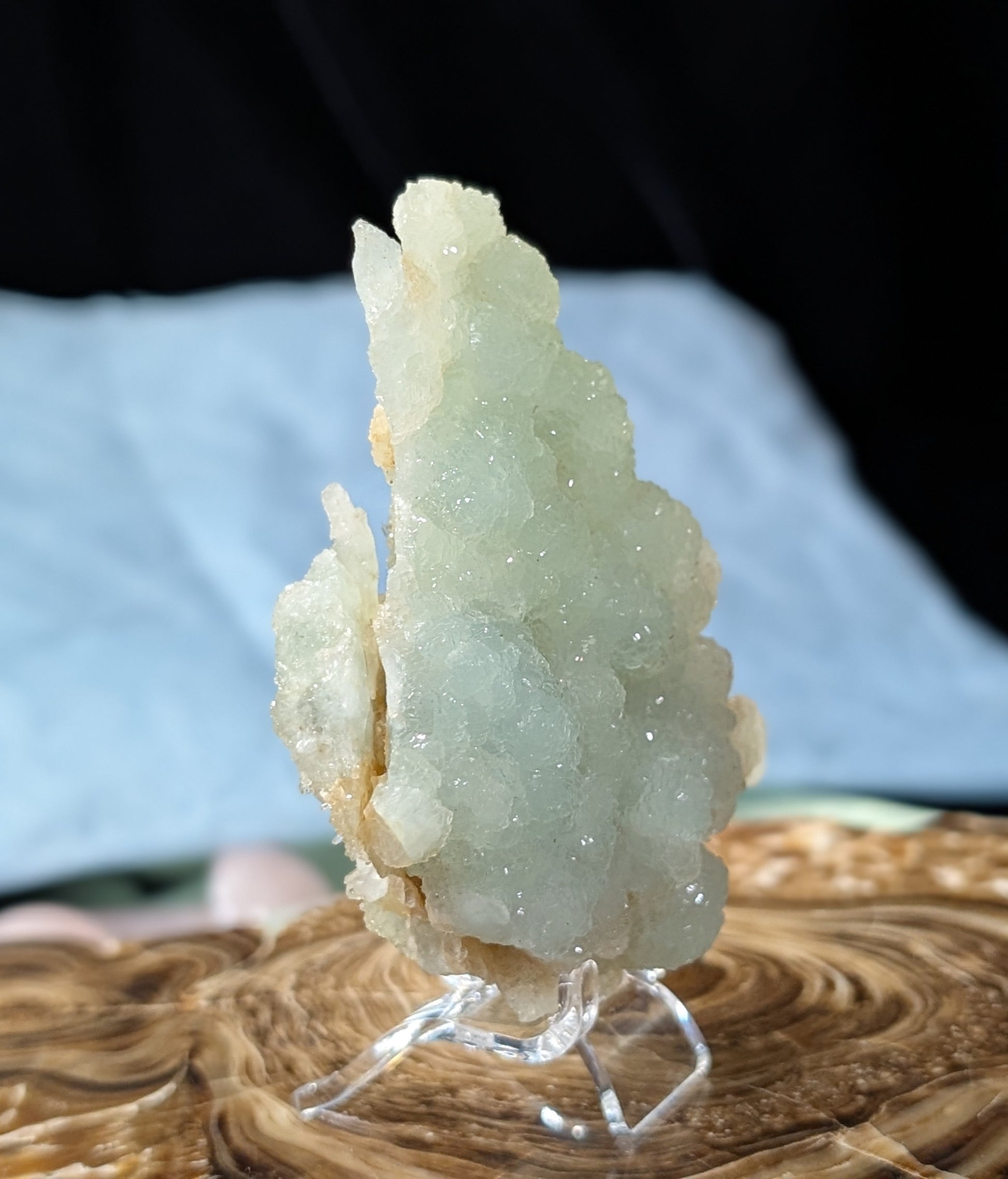 Prehnite and Quart in Matrix Specimen