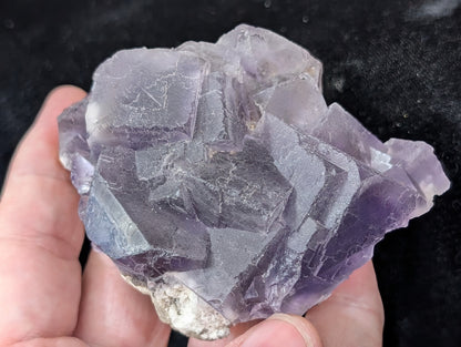 Purple Fluorite Specimen 1F