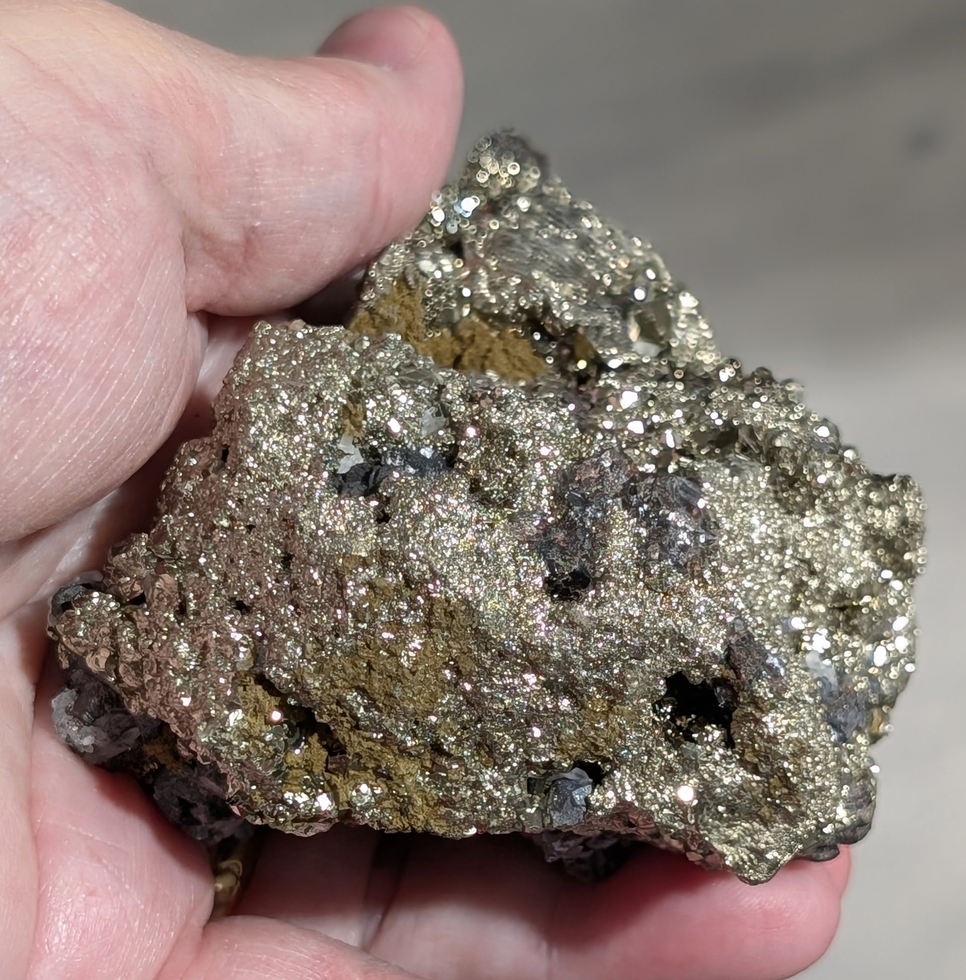 Pyrite in Matrix with Galena Specimen