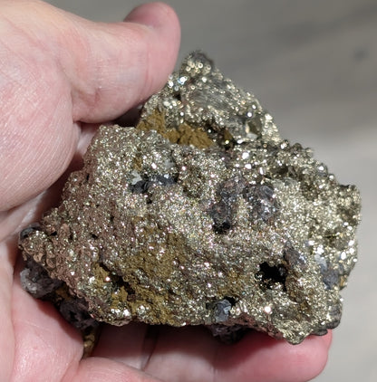 Pyrite in Matrix with Galena Specimen