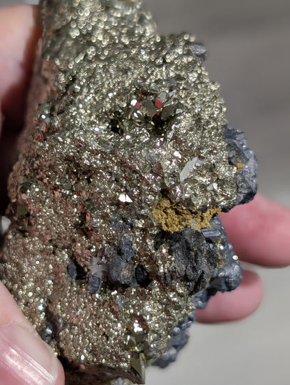 Pyrite in Matrix with Galena Specimen