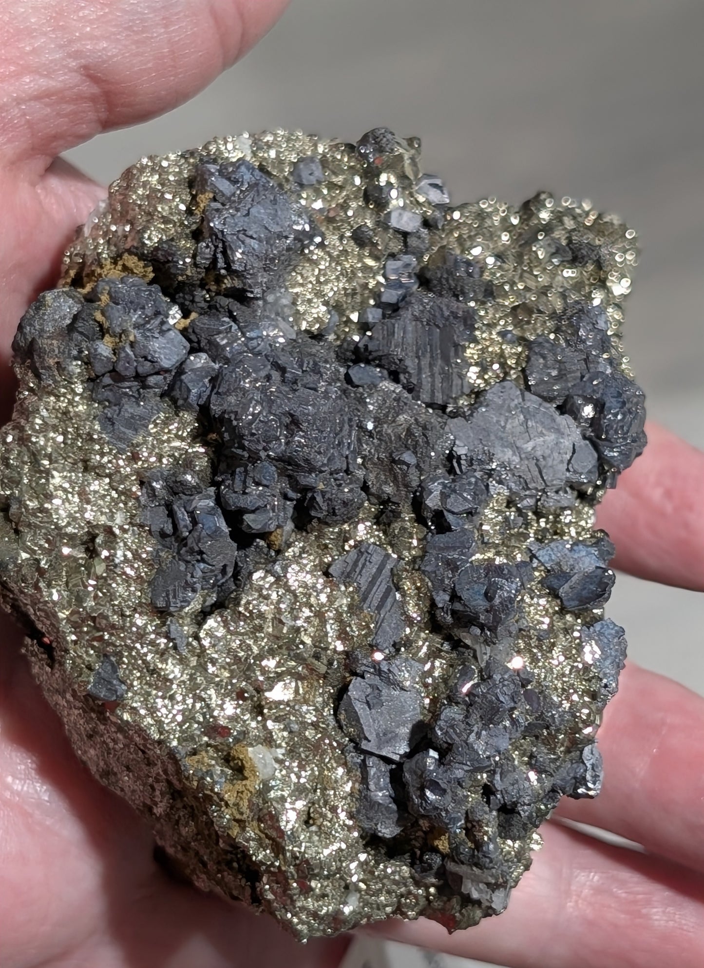 Pyrite in Matrix with Galena Specimen
