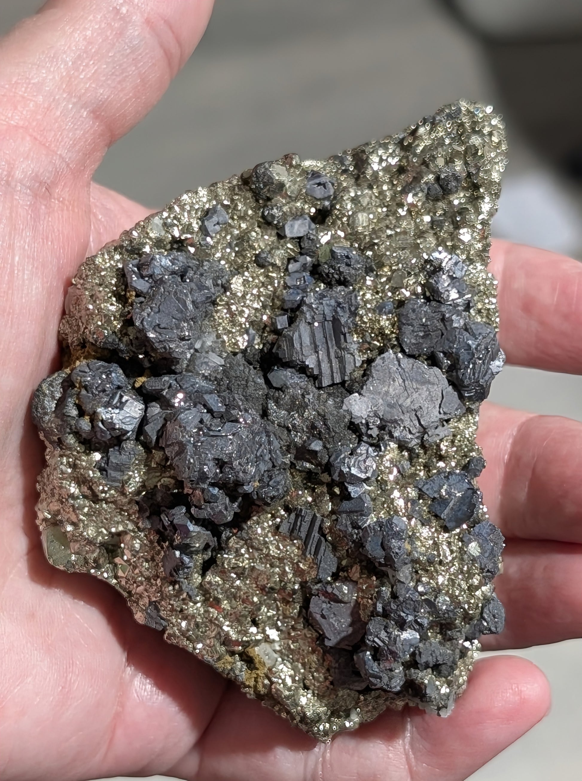 Pyrite in Matrix with Galena Specimen