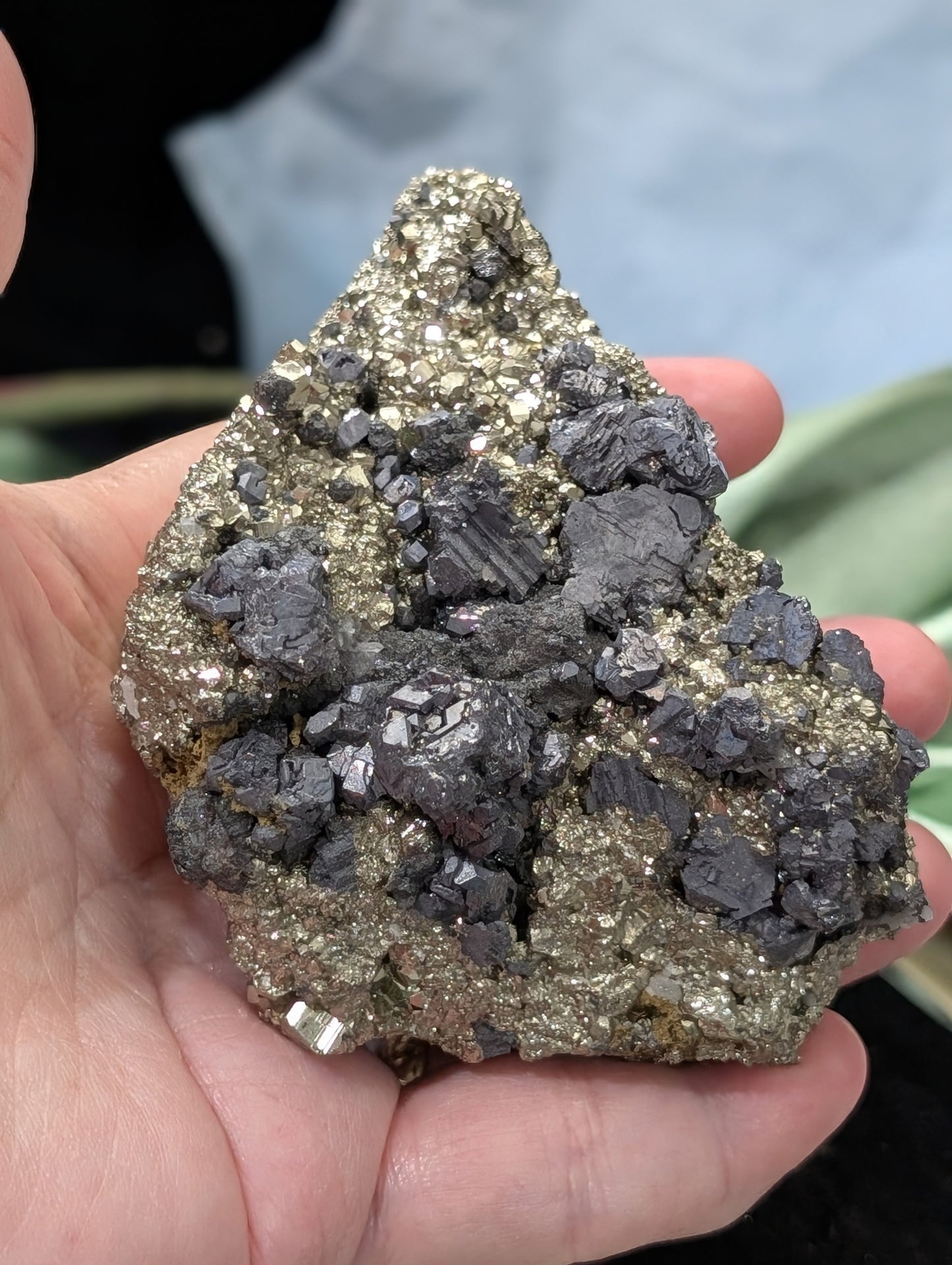 Pyrite in Matrix with Galena Specimen