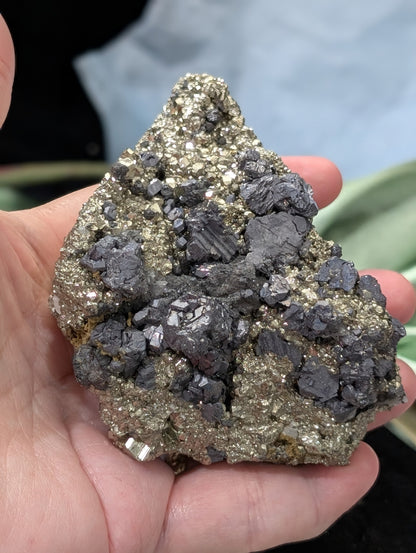 Pyrite in Matrix with Galena Specimen