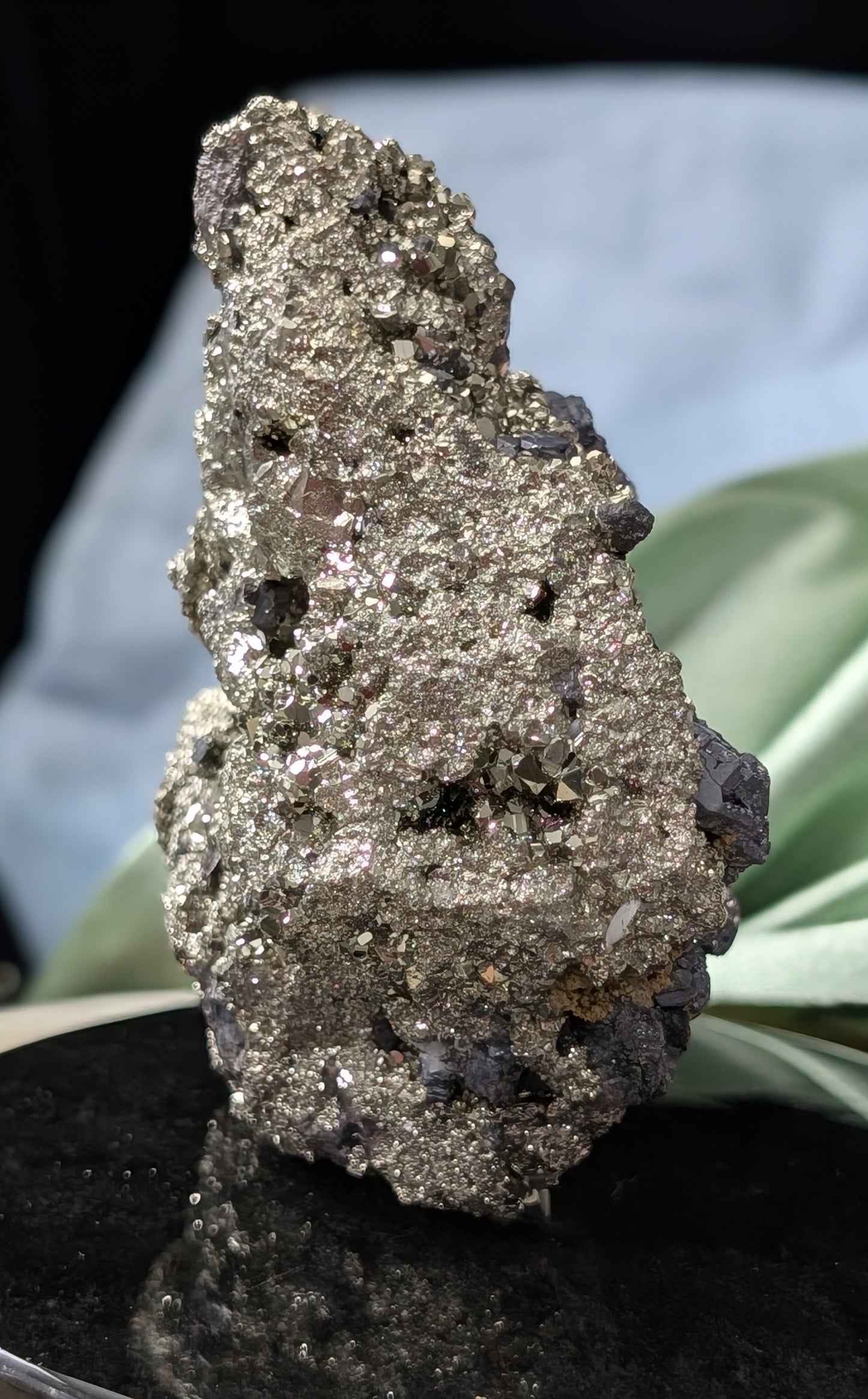Pyrite in Matrix with Galena Specimen