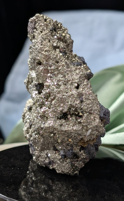 Pyrite in Matrix with Galena Specimen
