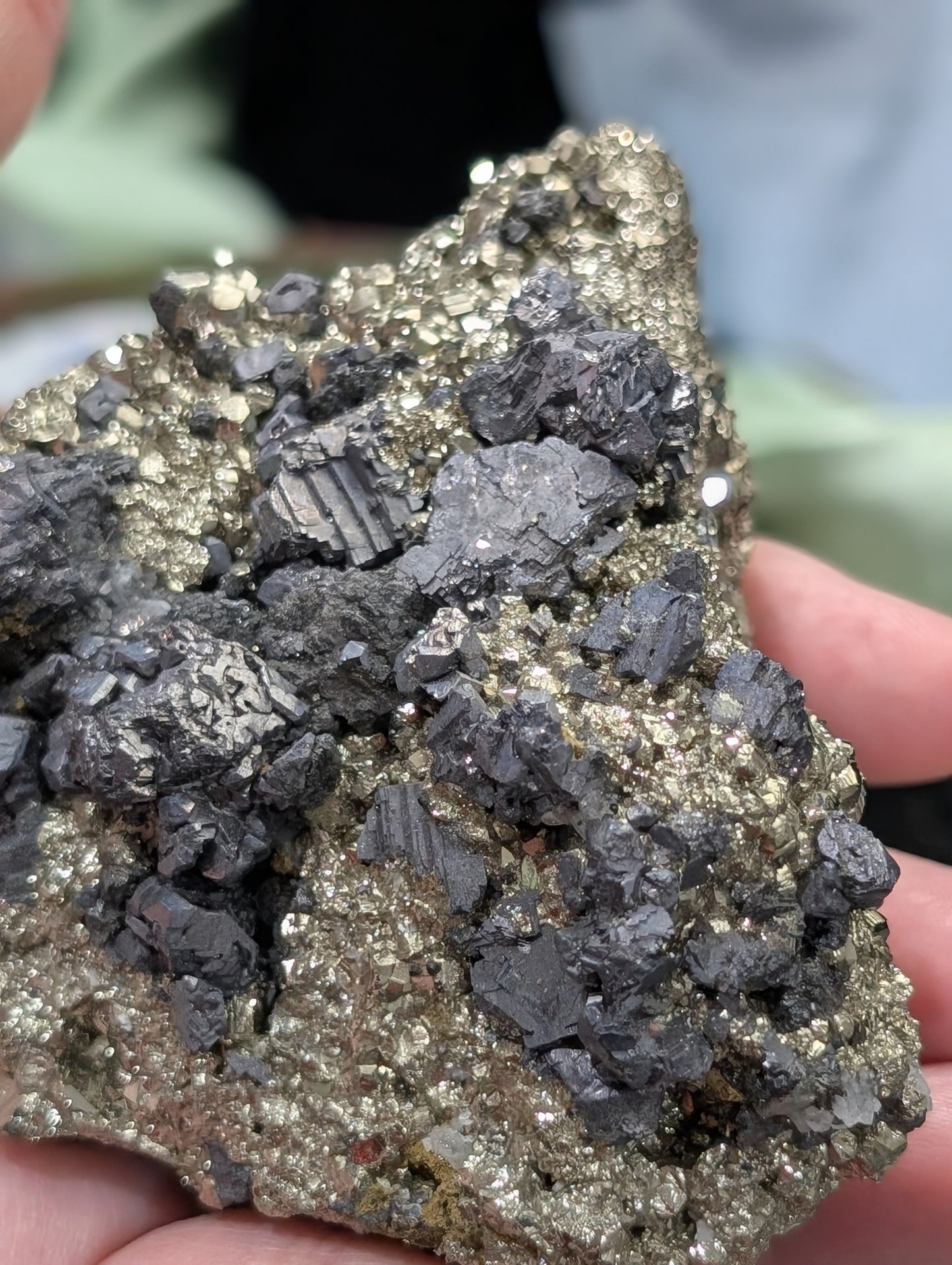 Pyrite in Matrix with Galena Specimen