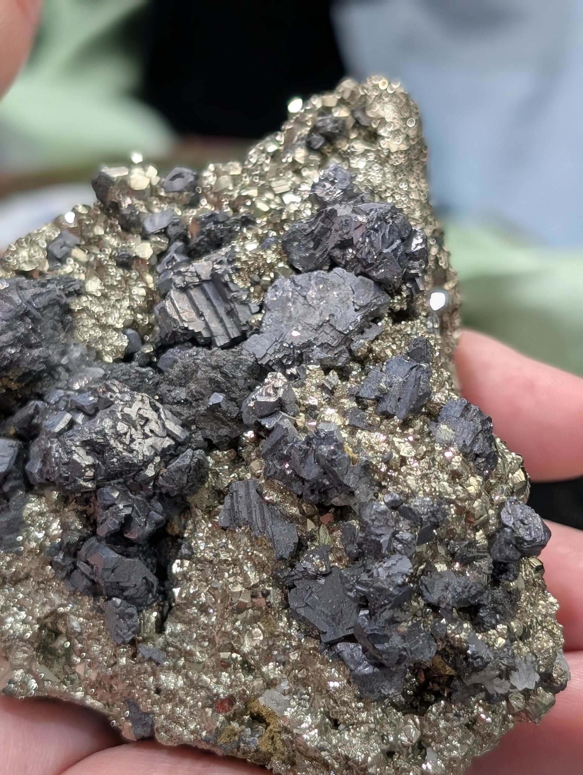Pyrite in Matrix with Galena Specimen