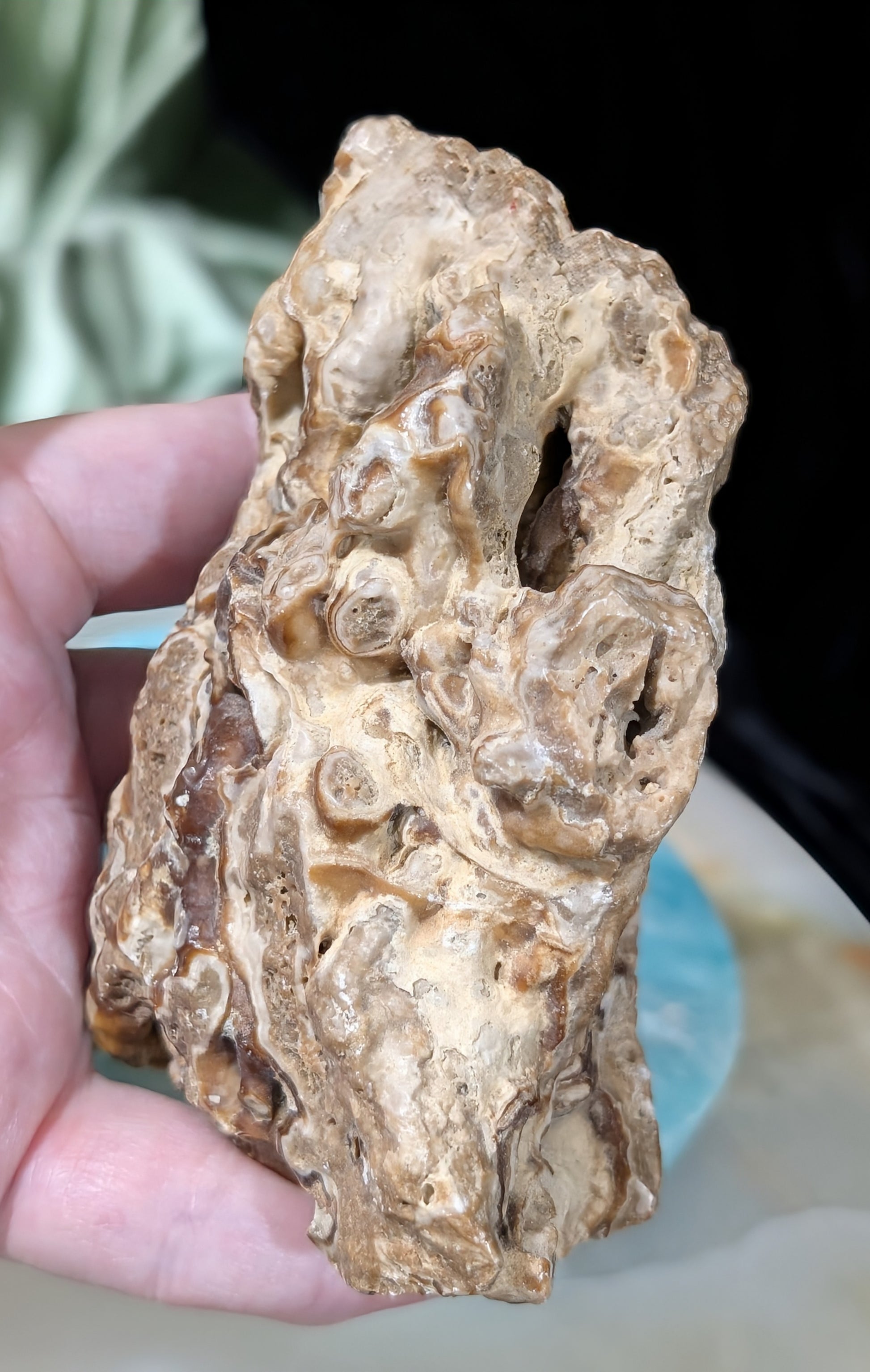 Raw Chocolate Calcite Freeform