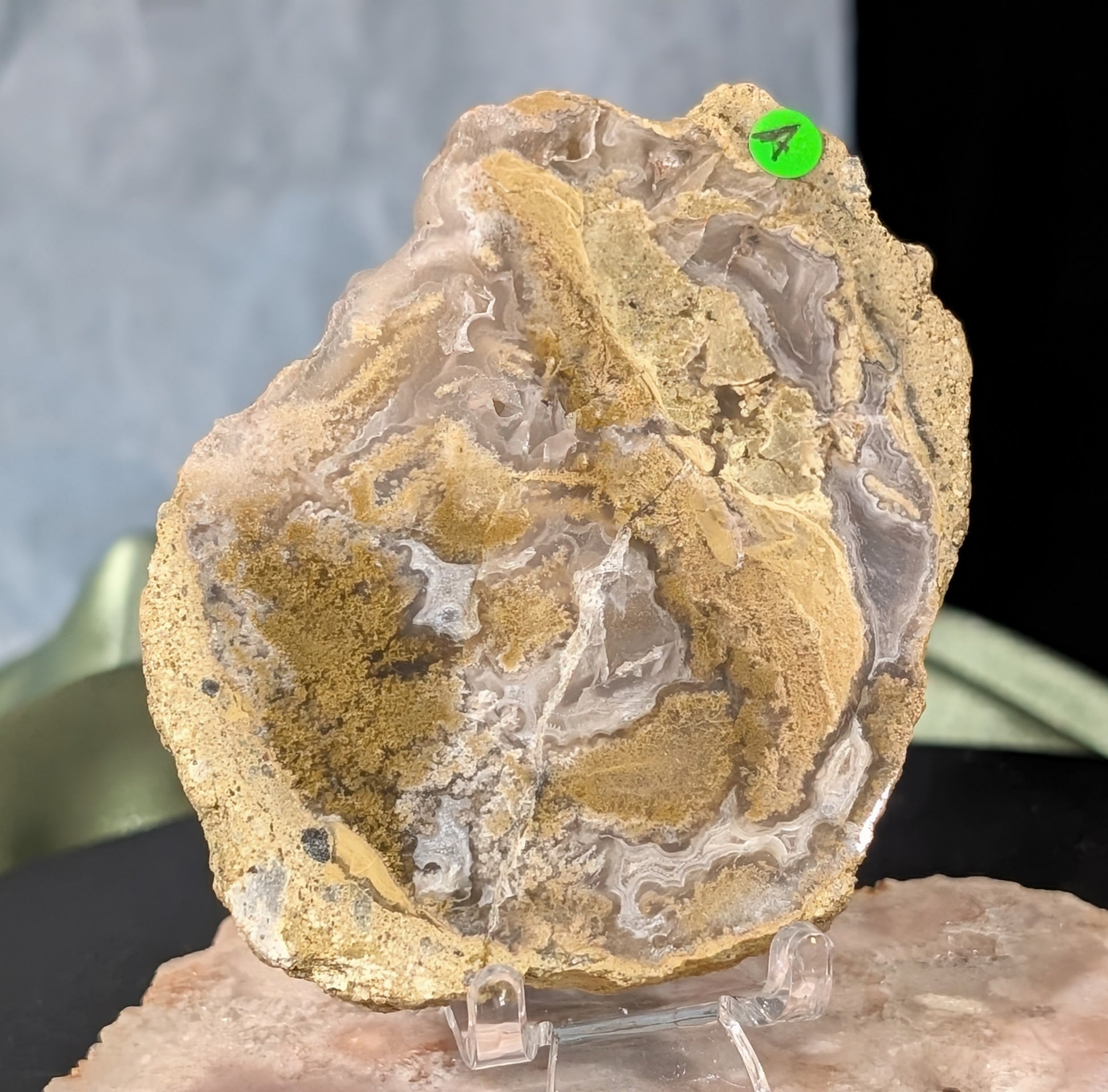 Raw Edge Moss Agate Slab