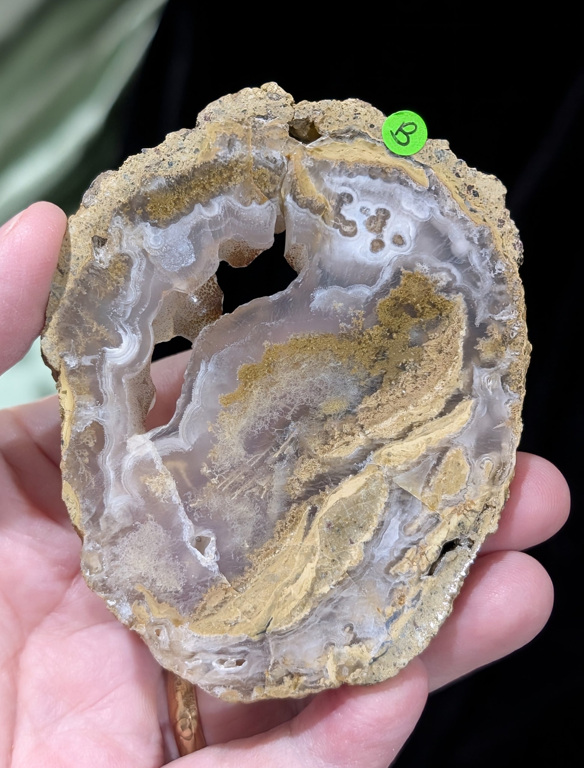 Raw Edge Moss Agate Slab
