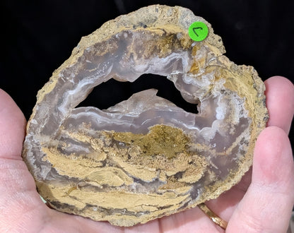 Raw Edge Moss Agate Slab