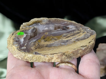 Raw Edge Moss Agate Slab