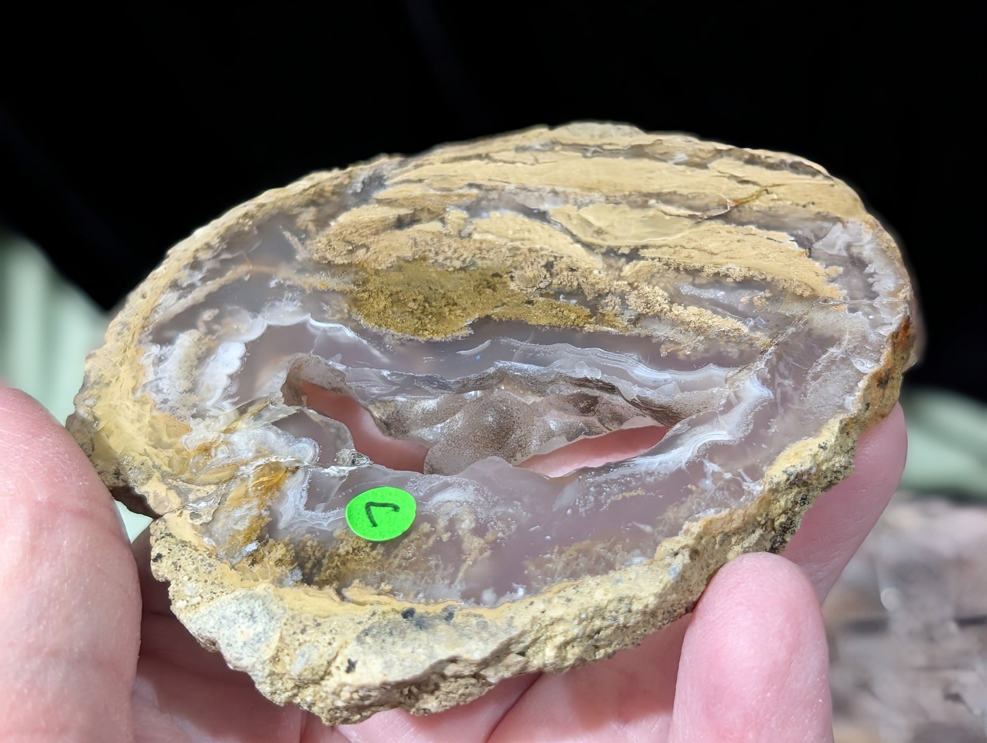Raw Edge Moss Agate Slab