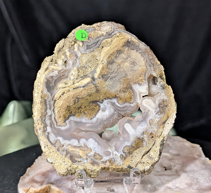 Raw Edge Moss Agate Slab