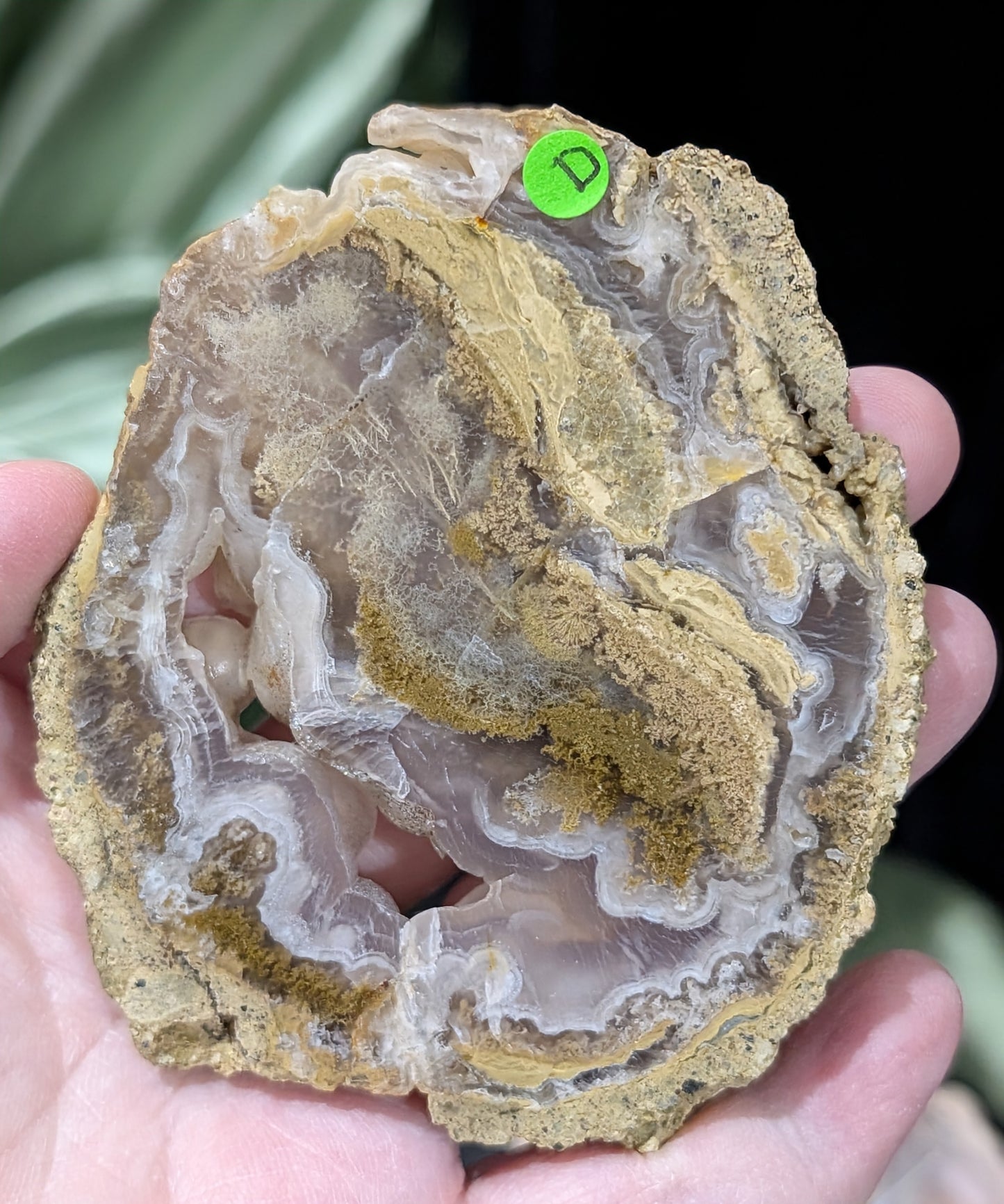 Raw Edge Moss Agate Slab