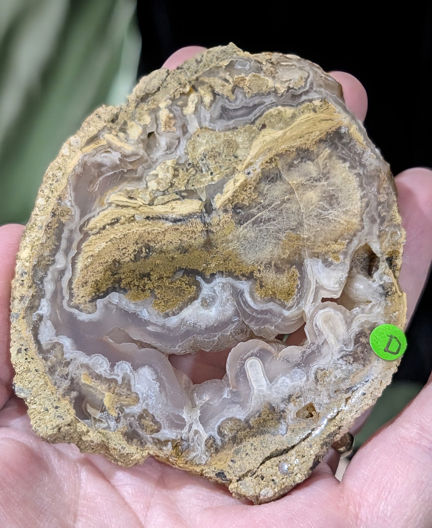 Raw Edge Moss Agate Slab
