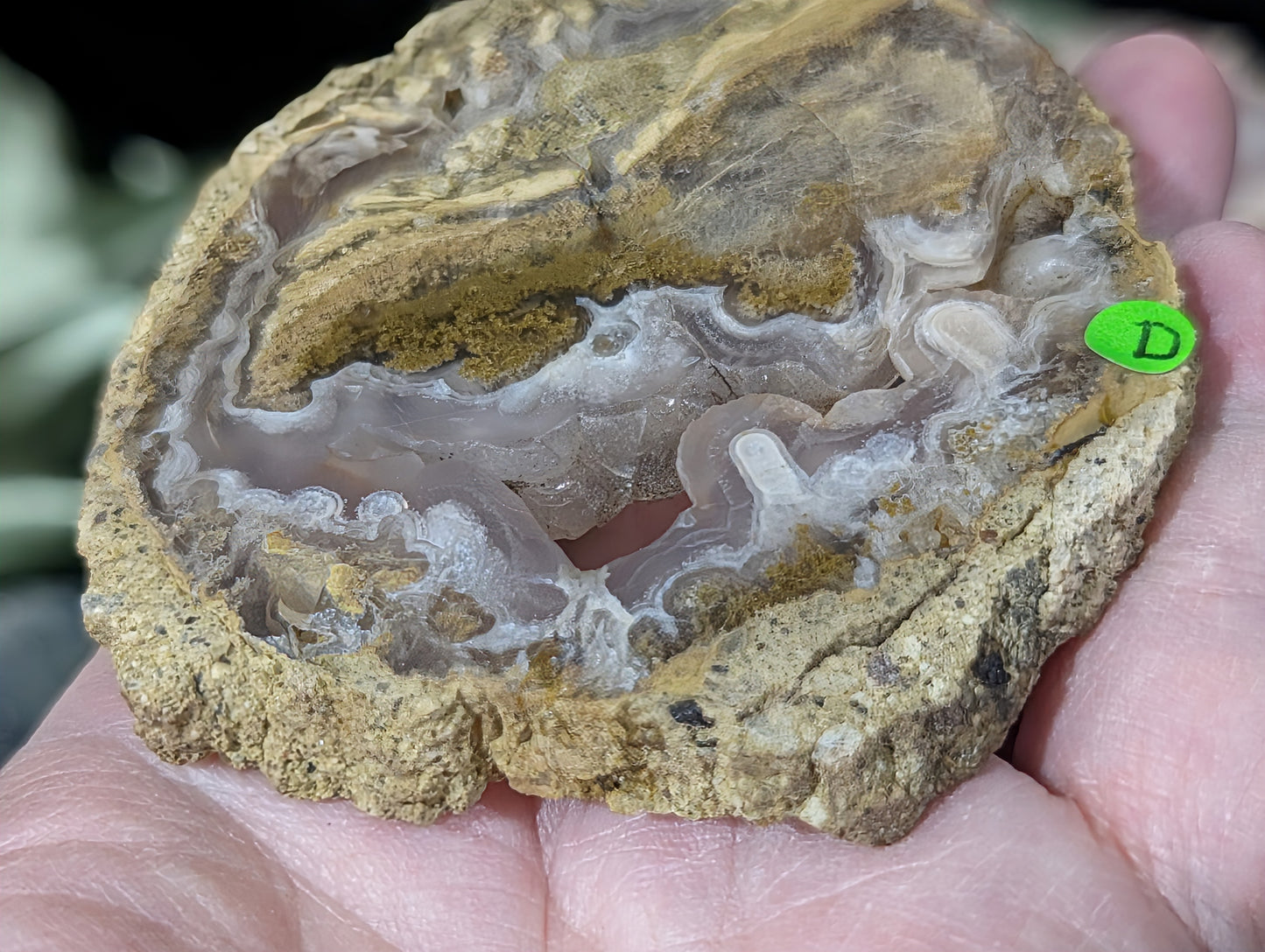 Raw Edge Moss Agate Slab