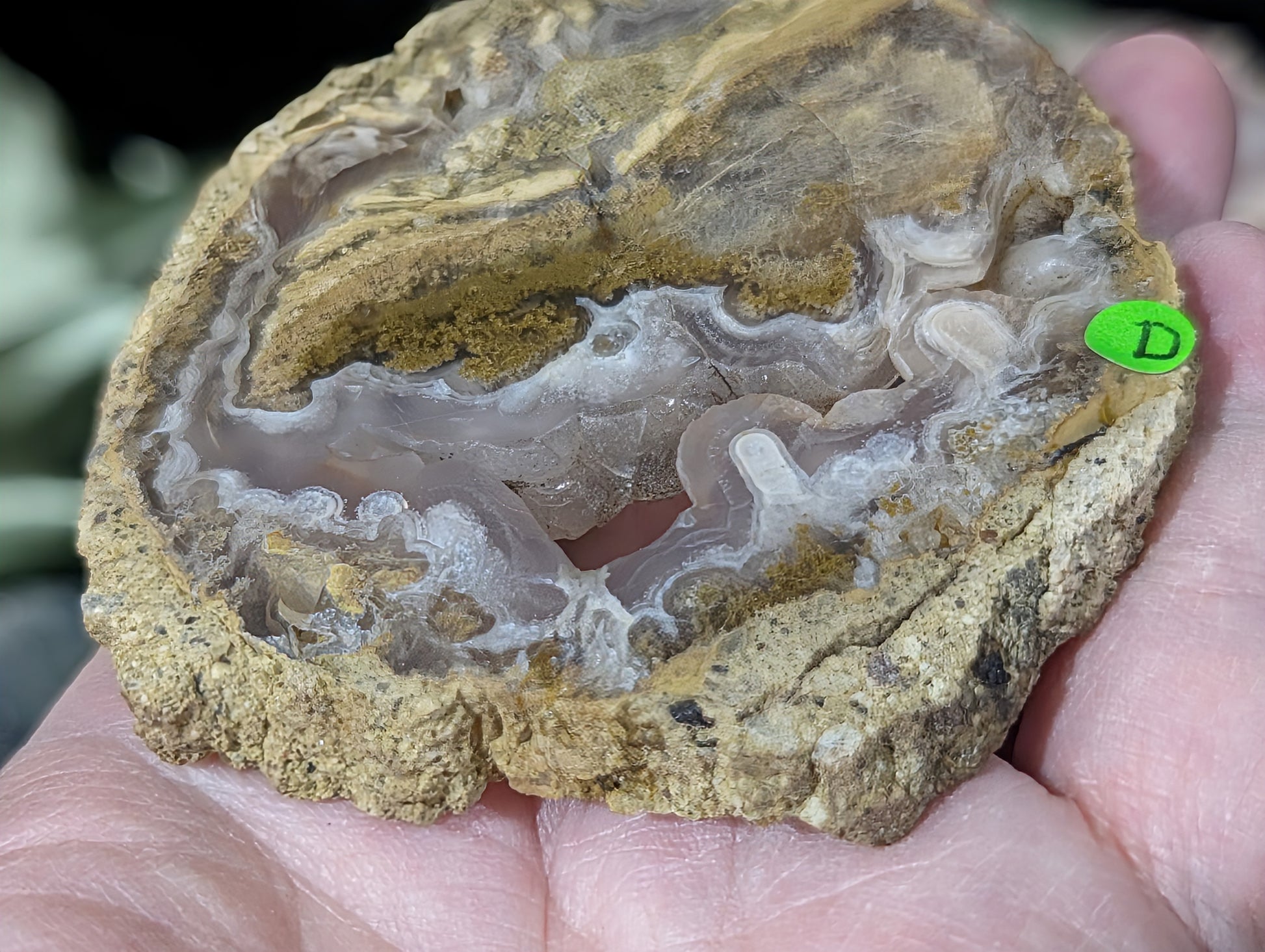 Raw Edge Moss Agate Slab