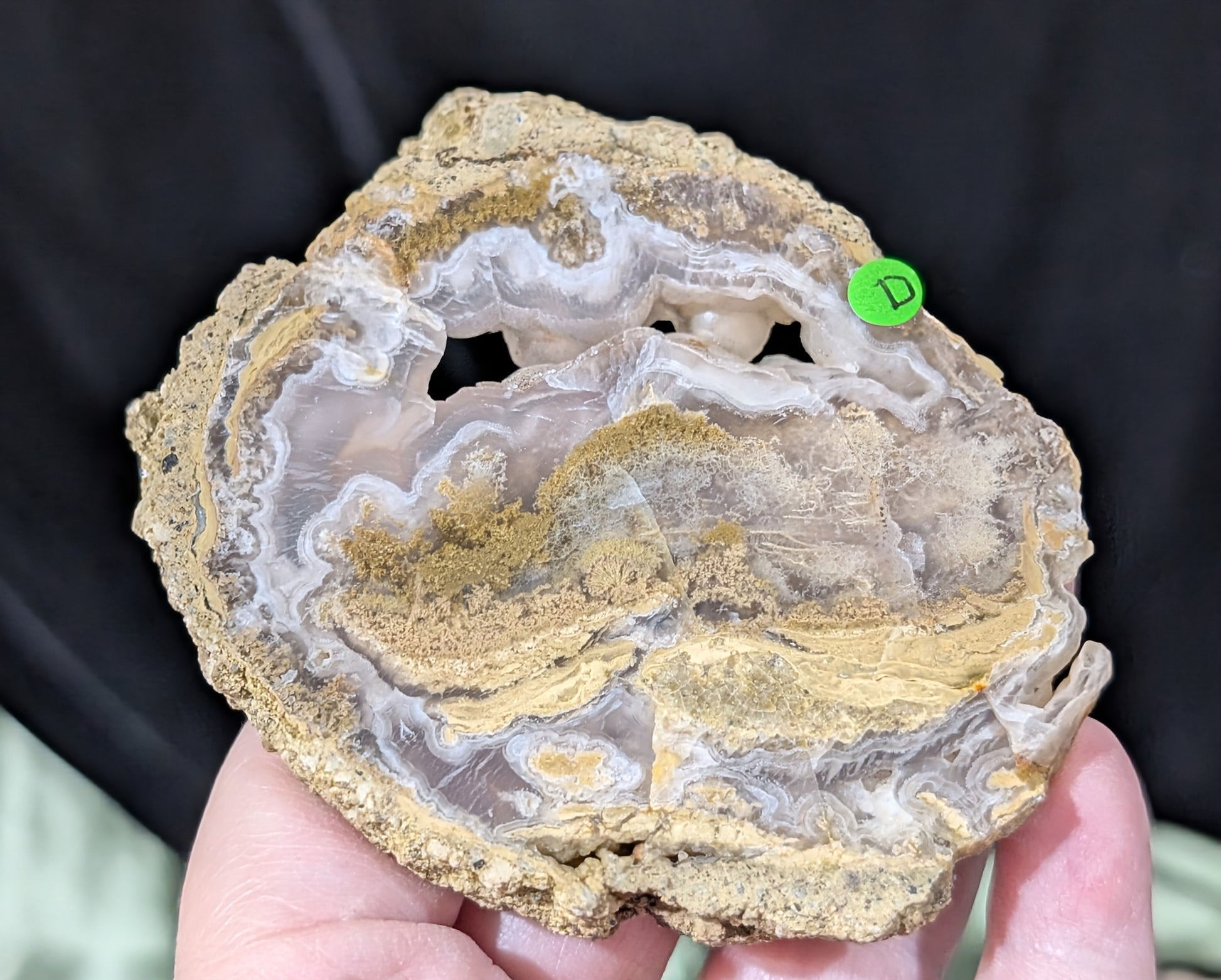 Raw Edge Moss Agate Slab