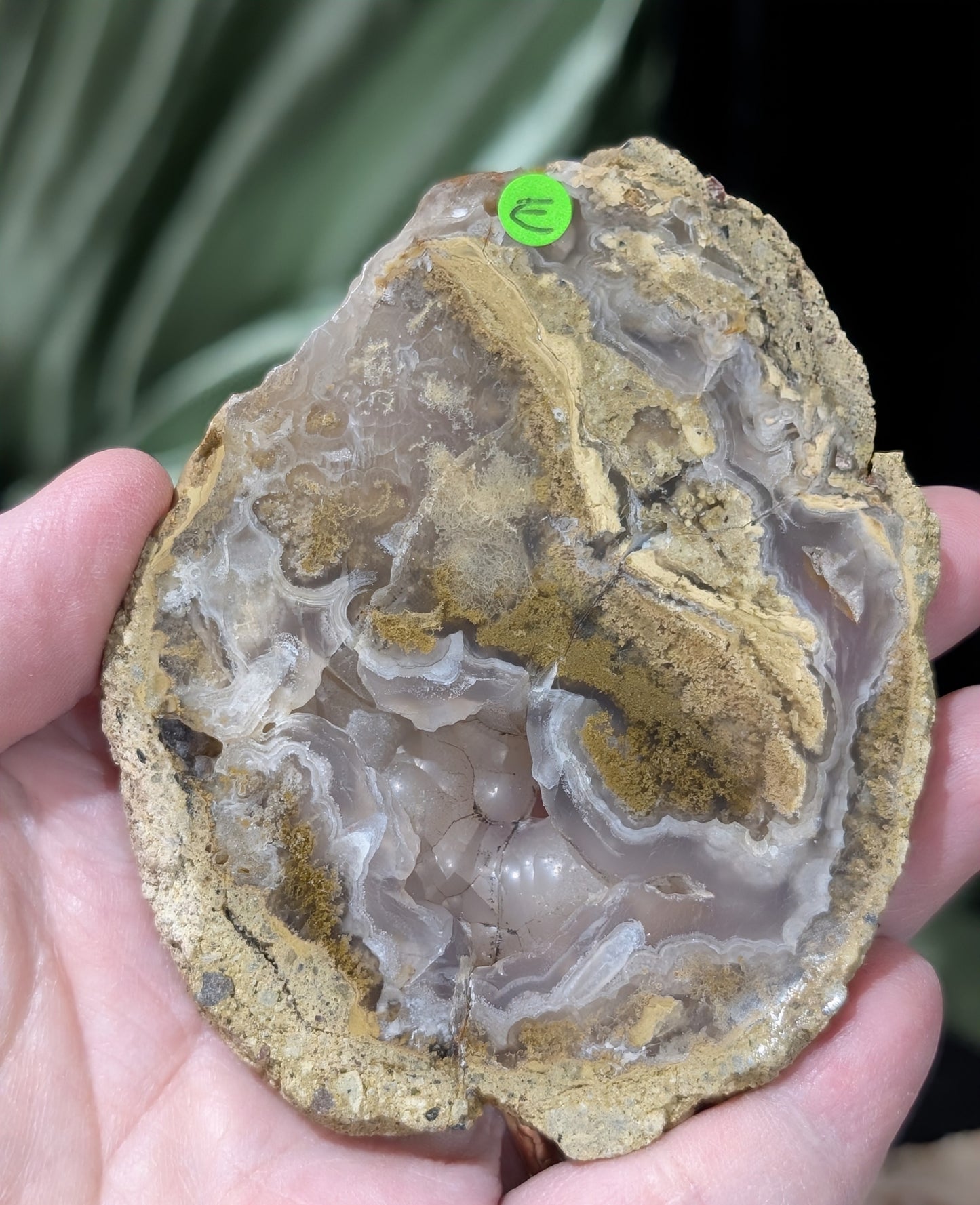Raw Edge Moss Agate Slab
